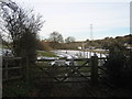 Bridle gate near Thornton Wood