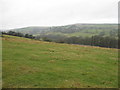 Fields west of Wheat Head Lane, Keighley