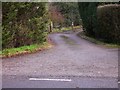 Bridleway off Chiddingfold Road