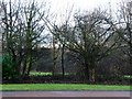 Winter trees at the edge of the golf course