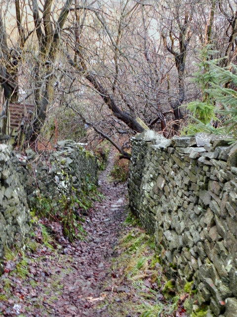 Path From Whittaker Moss To Norden © David Dixon Geograph Britain