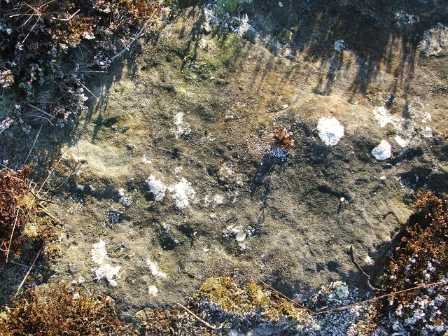 Exposed rock surface on Carman Muir