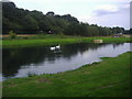 Pond at Kingfisher Farm, Abinger Hammer