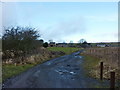 Side Beet Lane towards Lower Side Beet Farm