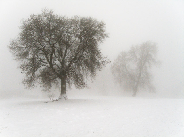 Mist in Shropshire