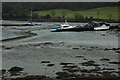 Low tide, Millbrook Lake