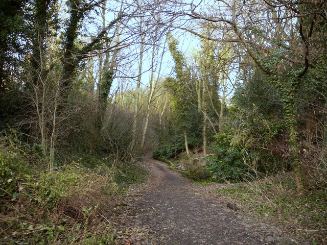 Path through Church Dene, Ryton © Andrew Curtis cc-by-sa/2.0 ...