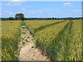 Farmland, Shoddesden, Kimpton