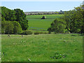 SU3364 : Farmland, Hungerford by Andrew Smith