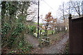 The footpath which runs between Blakewell and Tutshill Wood