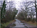 TM3664 : Deadman's Lane, Benhall by Geographer