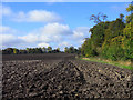 Farmland, Ardington