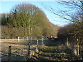 Path towards Cuckney Hay Wood