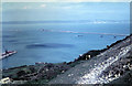 Cattle on the steep slope of The Verne 1962