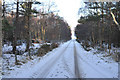 Minor road at Englishton Muir