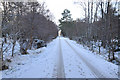 Minor road at Englishton Muir