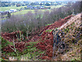 Former quarry on Congleton Edge