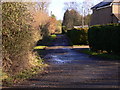 Green Lane near Alfold Crossways