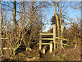 Stile for footpath route to Morley Hill