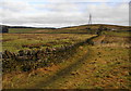 The Rossendale Way going towards Meadows Farm