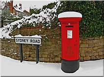 TQ0049 : Christmas postbox, Sydney Road by L S Wilson