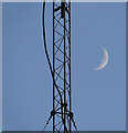 TF3918 : Quarter moon and radio transmitter tower by Adrian S Pye