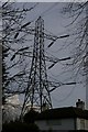 Pylon line passing over house, near Downe