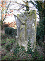 Angel headstone in Gedney Hill Holy Trinity churchyard