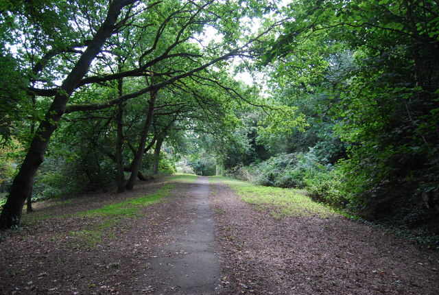 Footpath across the common