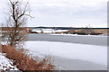 Artificial fishing ponds at Newmill