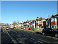 Houses in Primrose Road