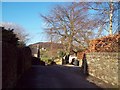 Whitelea Lane in Tansley Knoll