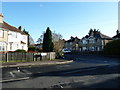 Looking from Pansy Road into Honeysuckle Road