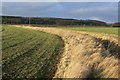 Fields near Newfield Farm