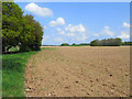 Farmland, Chieveley