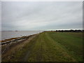 Looking east along the south bank of the River Humber