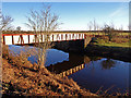 Selvieland Bridge