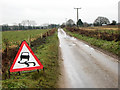 Approaching Ford Farm on Swangey Lane