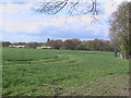 Fields east of Okewood church