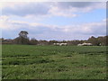 Fields east of Okewood church, May blossom in the distance