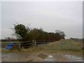 Gates to farmland near Foston and the Great North Road