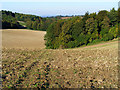 Farmland and woodland, Offley