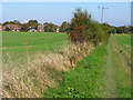 Farmland, Pirton