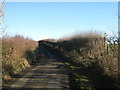 Footpath crosses Cauldham Lane