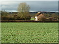 Cottage from the railway, Stoke Canon, near Exeter