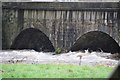 Black Cat : River Exe & B3227 Bridge