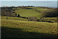 Farmland in the Leadon valley