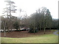 Trees in the SW corner of Churchill Gardens, Hereford