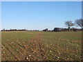 Footpath to Lockeringe Wood