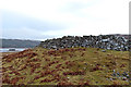 Remains of Kilbraur Broch